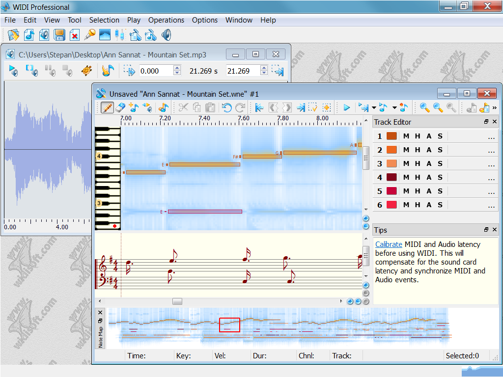 WIDI Professional for Windows Screenshot